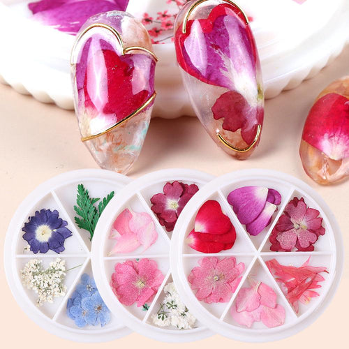 Wheel Dried Flowers Nail Art Decorations Natural Flower Leaf Floral-Beauty Zone Nail Supply