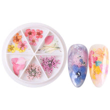 Load image into Gallery viewer, Wheel Dried Flowers Nail Art Decorations Natural Flower Leaf Floral-Beauty Zone Nail Supply