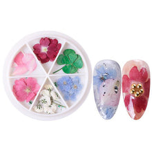 Load image into Gallery viewer, Wheel Dried Flowers Nail Art Decorations Natural Flower Leaf Floral-Beauty Zone Nail Supply