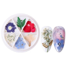 Load image into Gallery viewer, Wheel Dried Flowers Nail Art Decorations Natural Flower Leaf Floral-Beauty Zone Nail Supply