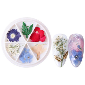 Wheel Dried Flowers Nail Art Decorations Natural Flower Leaf Floral-Beauty Zone Nail Supply