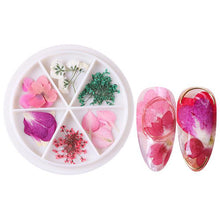 Load image into Gallery viewer, Wheel Dried Flowers Nail Art Decorations Natural Flower Leaf Floral-Beauty Zone Nail Supply