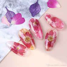 Load image into Gallery viewer, Wheel Dried Flowers Nail Art Decorations Natural Flower Leaf Floral-Beauty Zone Nail Supply